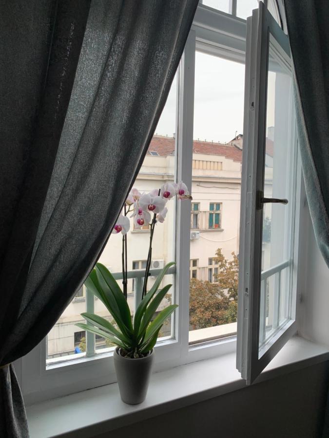 Dragonfly Residence Beograd Bagian luar foto